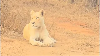 Fomalhaut and Ingwavuma