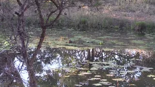 Cleopatra’s Dam at Dawn
