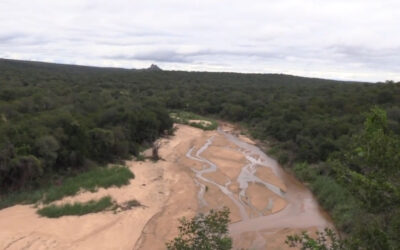 Lost Ark Dam