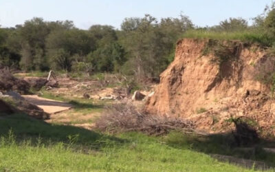 Malachite Flood Damage to Dams and Fences